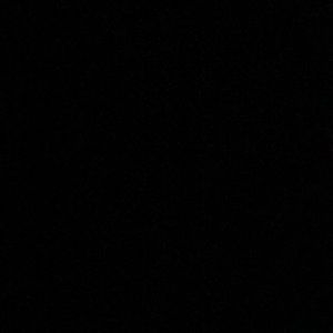 Meet your Posher, Jojo